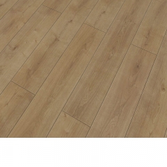 中华老字号 东阿阿胶桃花姬阿胶糕300g