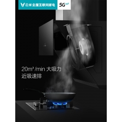 中华老字号 东阿阿胶桃花姬阿胶糕300g