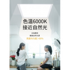 中华老字号 东阿阿胶桃花姬阿胶糕300g