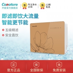 中华老字号 东阿阿胶桃花姬阿胶糕300g