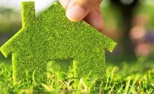 广州小绿芽环保除甲醛服务